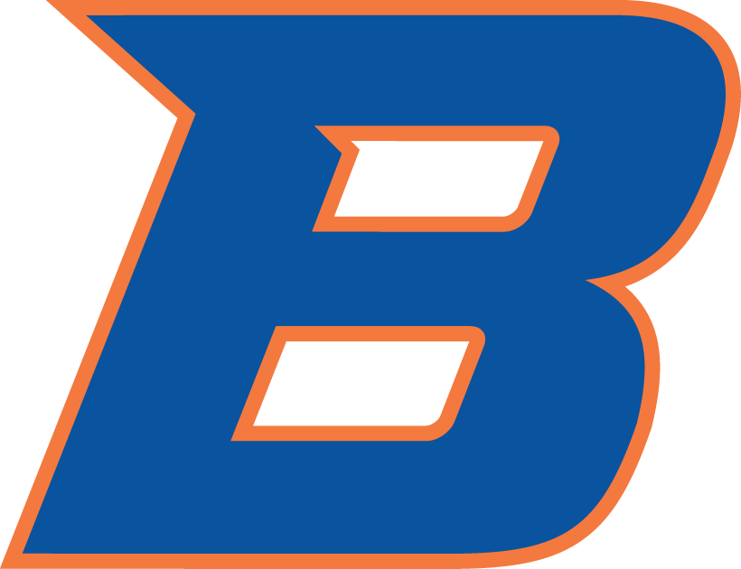 Boise State Broncos 2013-Pres Secondary Logo diy iron on heat transfer
